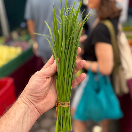 Garlic Chives at Union Square Green Market.