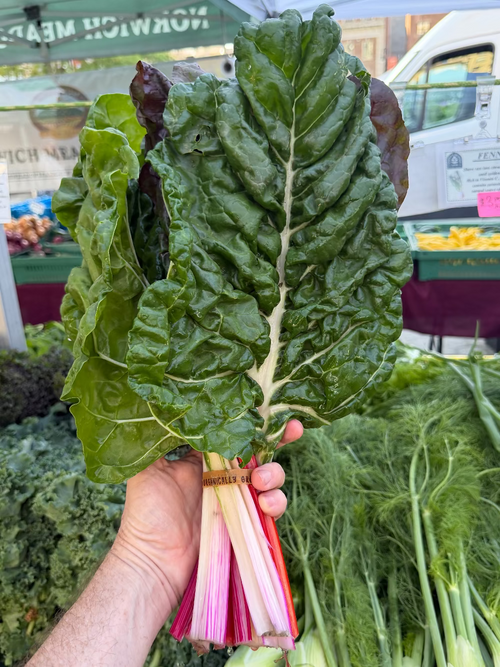 Swiss Chard at Norwich Meadows Farm stand in Union Square