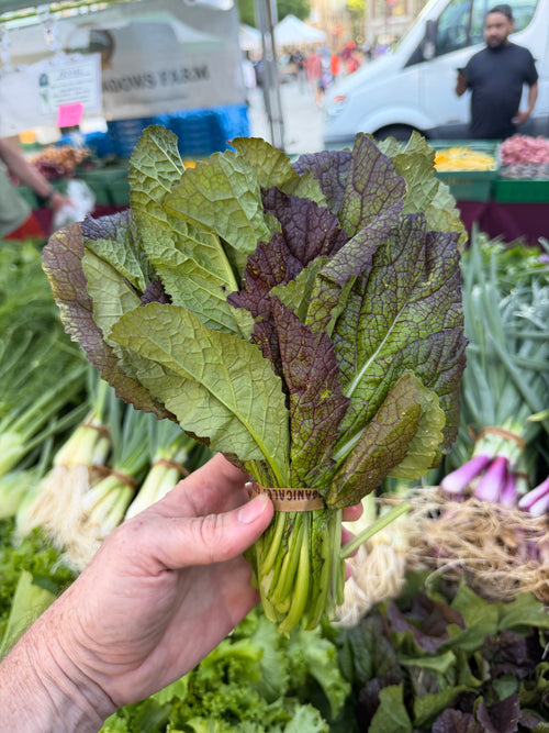 Red Mustard Greens grown by Norwich Meadows Farm