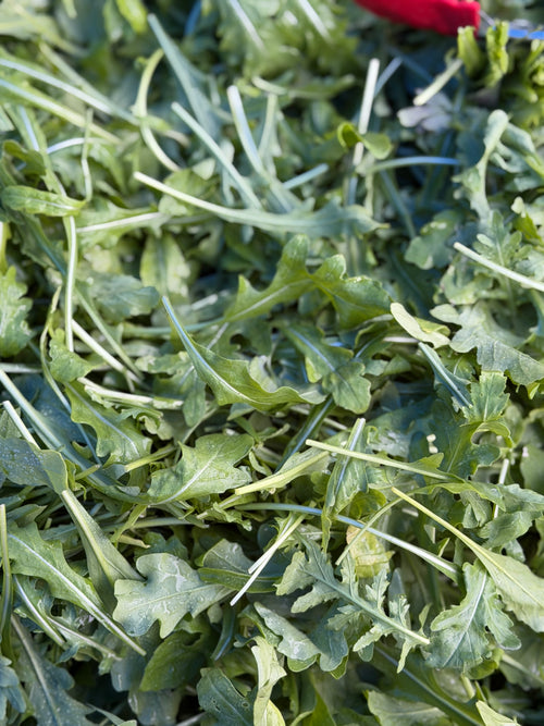 Baby Greens - 4oz