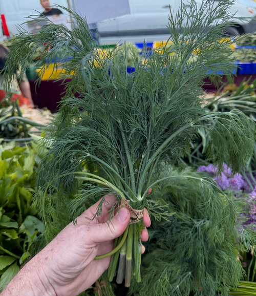 Dill at Union Square Farmers Market grown by Norwich Meadows Farm
