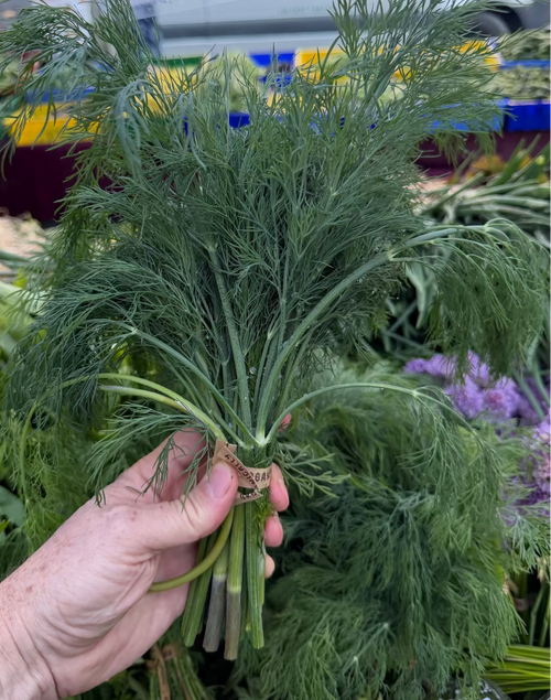Hand holding a bundle of fresh green dill in an outdoor market setting