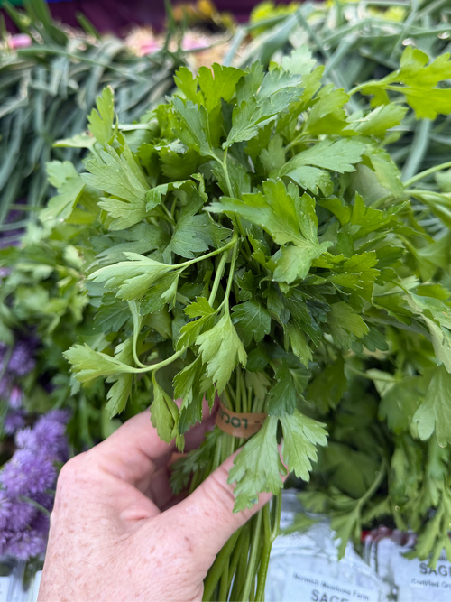 Fresh Parsley at Norwich Meadows Union Square Farm Stand