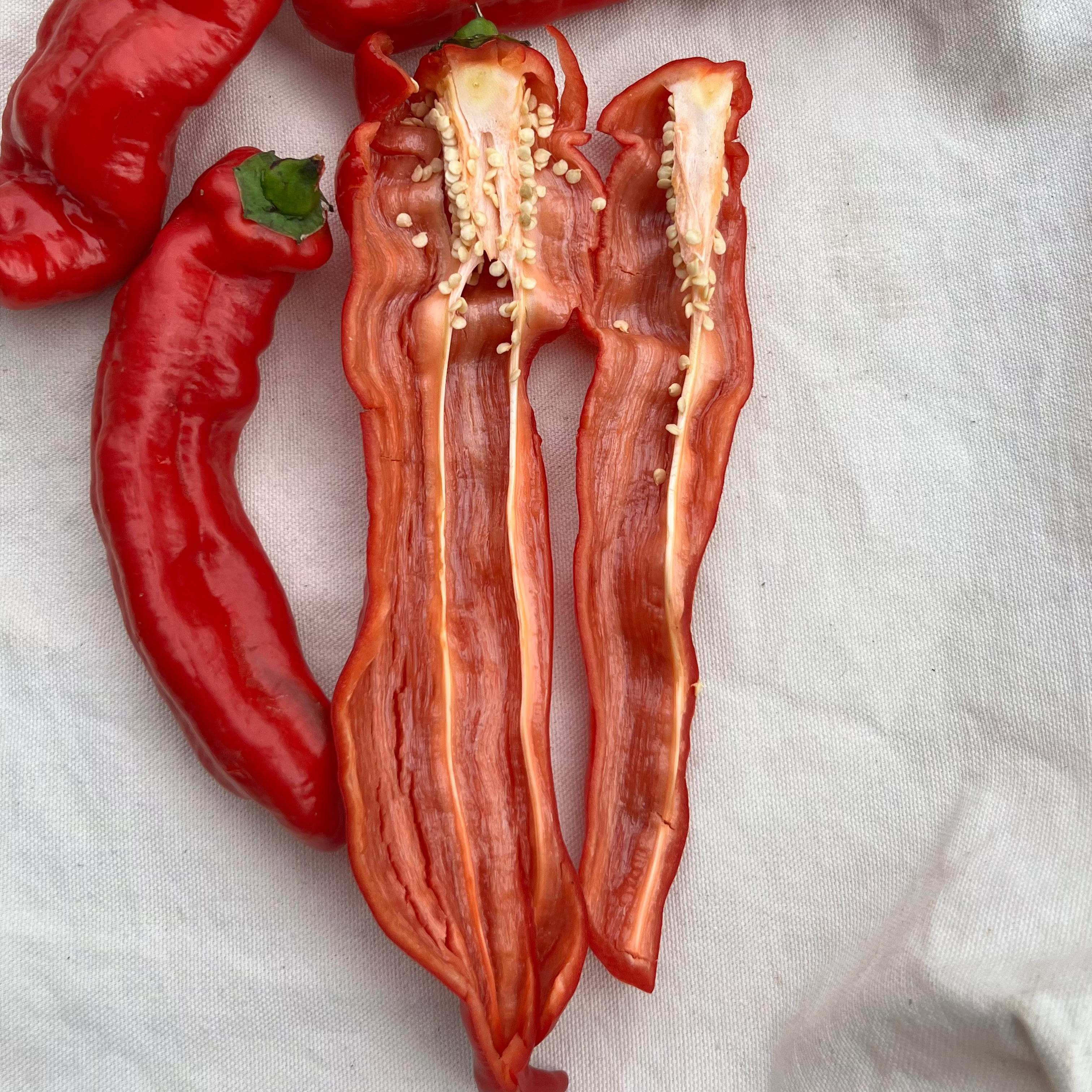 Inside section of Gamelli Mazinna Pepper bred by Michael Mazourek and grown by Norwich Meadows Farm.