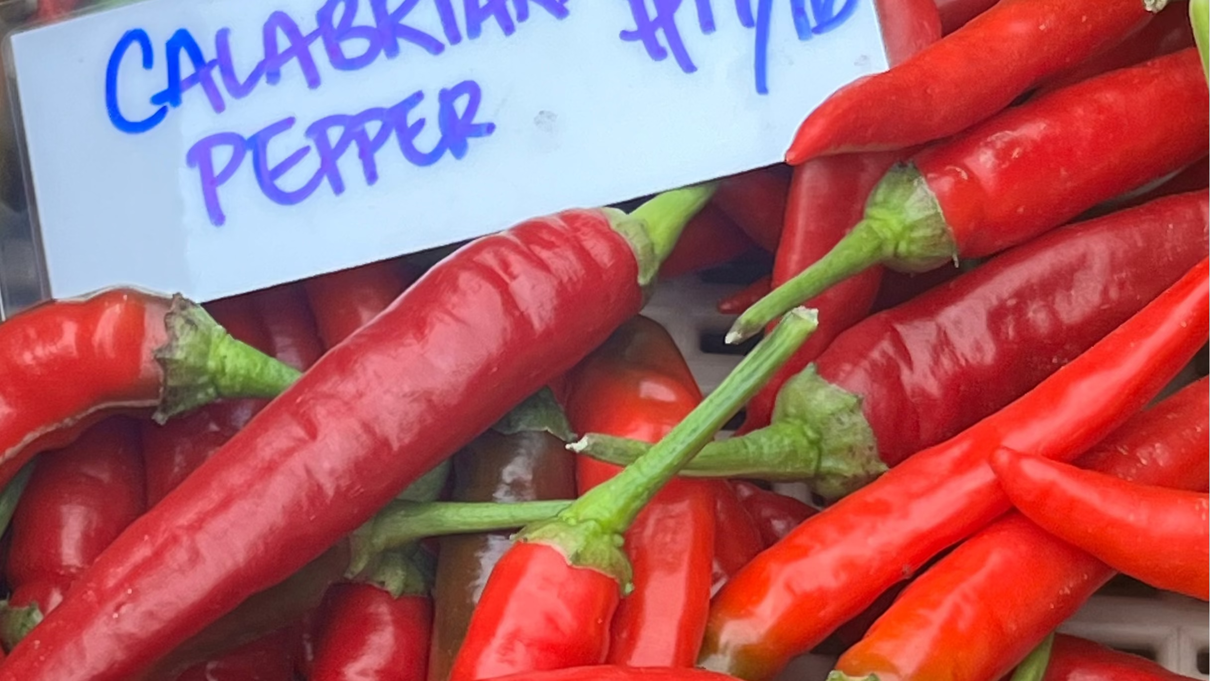 Our Calabrian peppers at Unon Square Greenmarket.