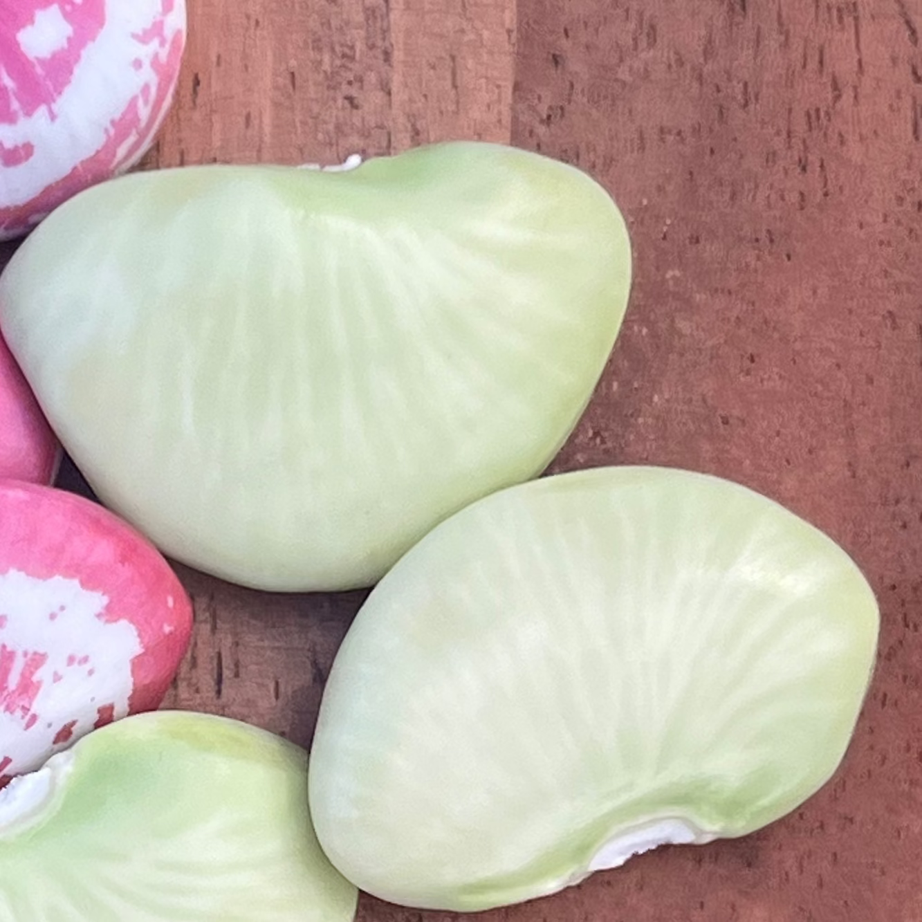 Lima Beans- 3 or 5lb Box
