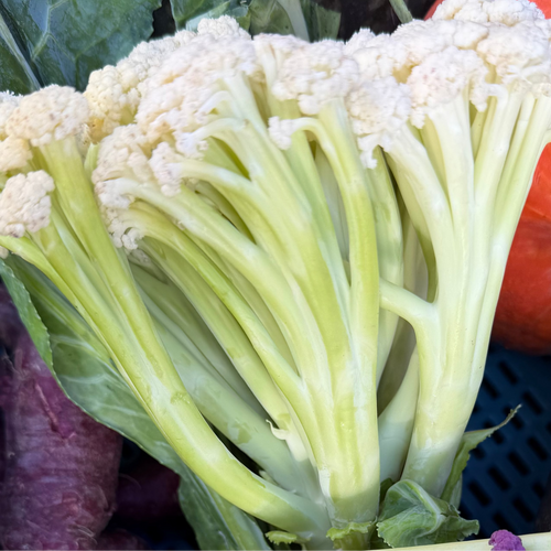 Cauliflower