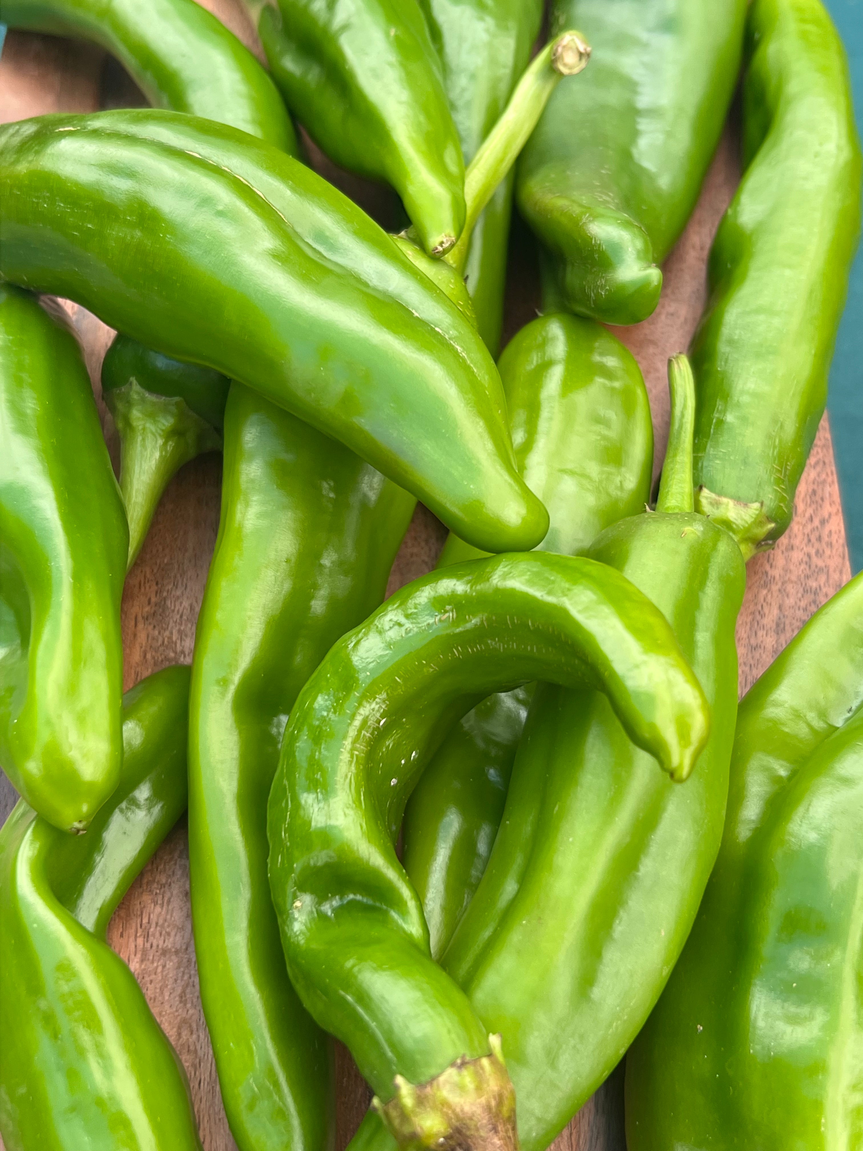 Hatch Chile Collection