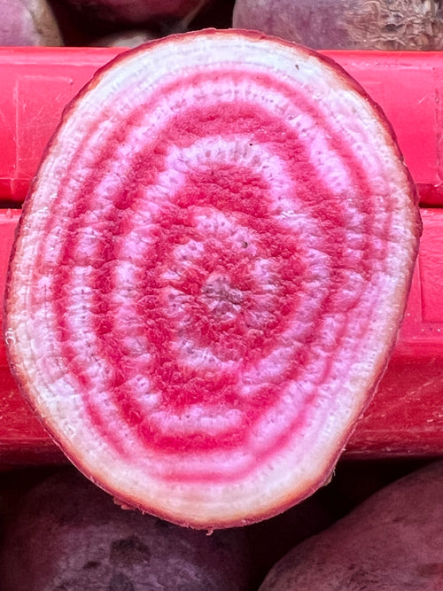 Candy Cane Beets from Norwich Meadows Farm