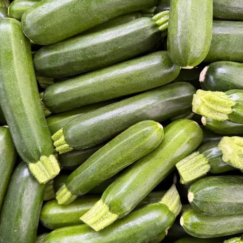Zuchiini just harvested at Noriwch Meadows Farm.
