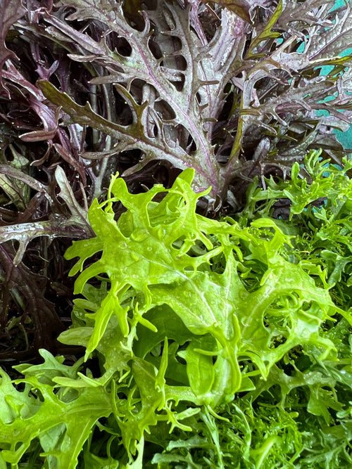 Frilly Mustard Greens