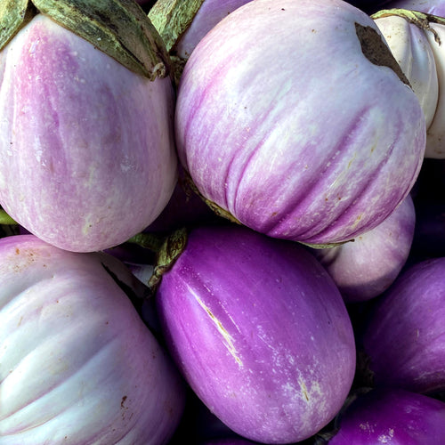A collection of Sicilian Styel Eggplant on sale at Union Square Market.  Sold to NYCs top restaurants.