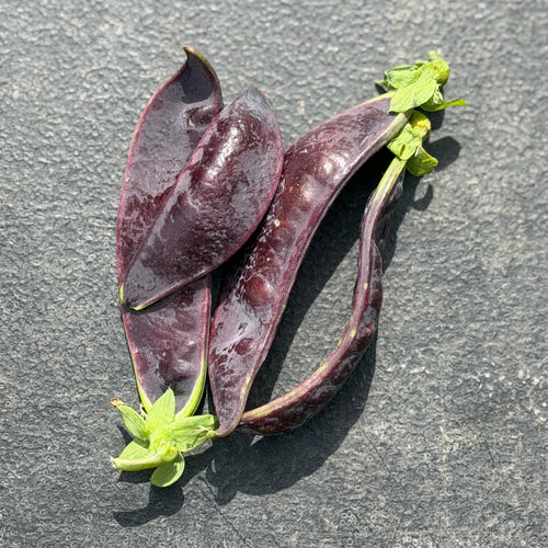 Row 7 Beauragarde Snow Peas