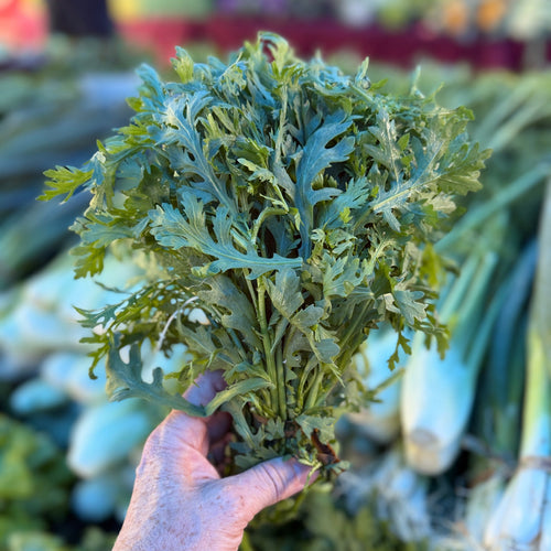 Chrysanthemum Greens grown on norwich meadows farm at Union Square market
