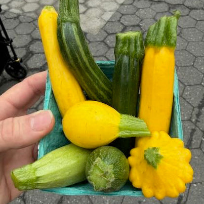 Hand holding a teal container with various zucchinis and yellow squash on a textured pavement background