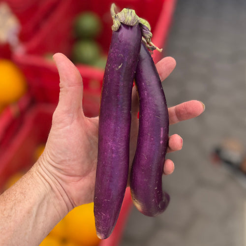 Dancer Eggplant at the Union Square Farmers Market - the Norwich Meadows Farm Stand.