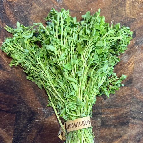 One of our favorite herbs - bush basil.  Grown on our organic farm, Norwich Meadows.