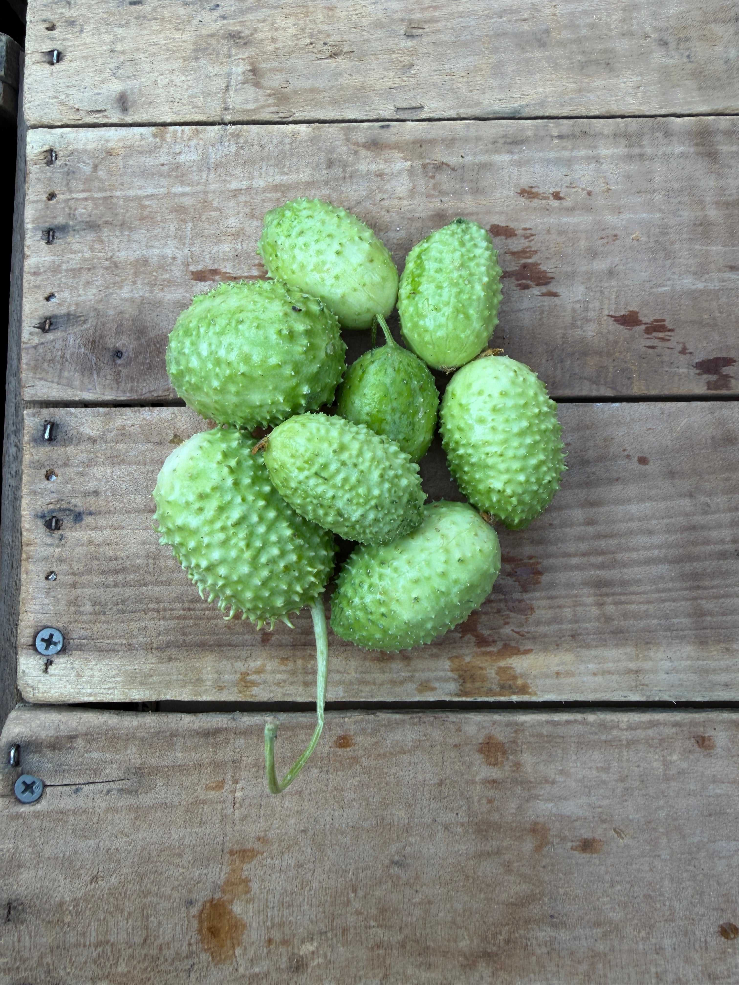 World Cucumber Collection