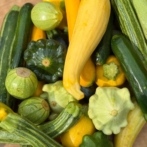 Mixed Summer Squash from Norwich Meadows Farm.