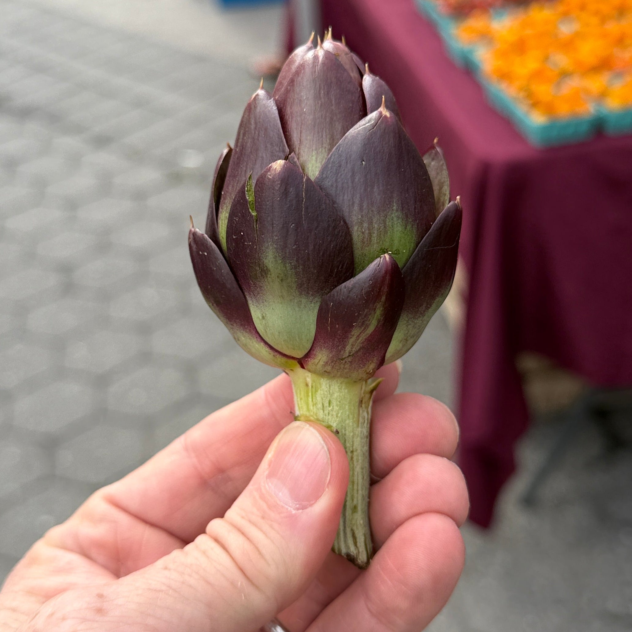 Purple artichoke at Union Square Green Market.