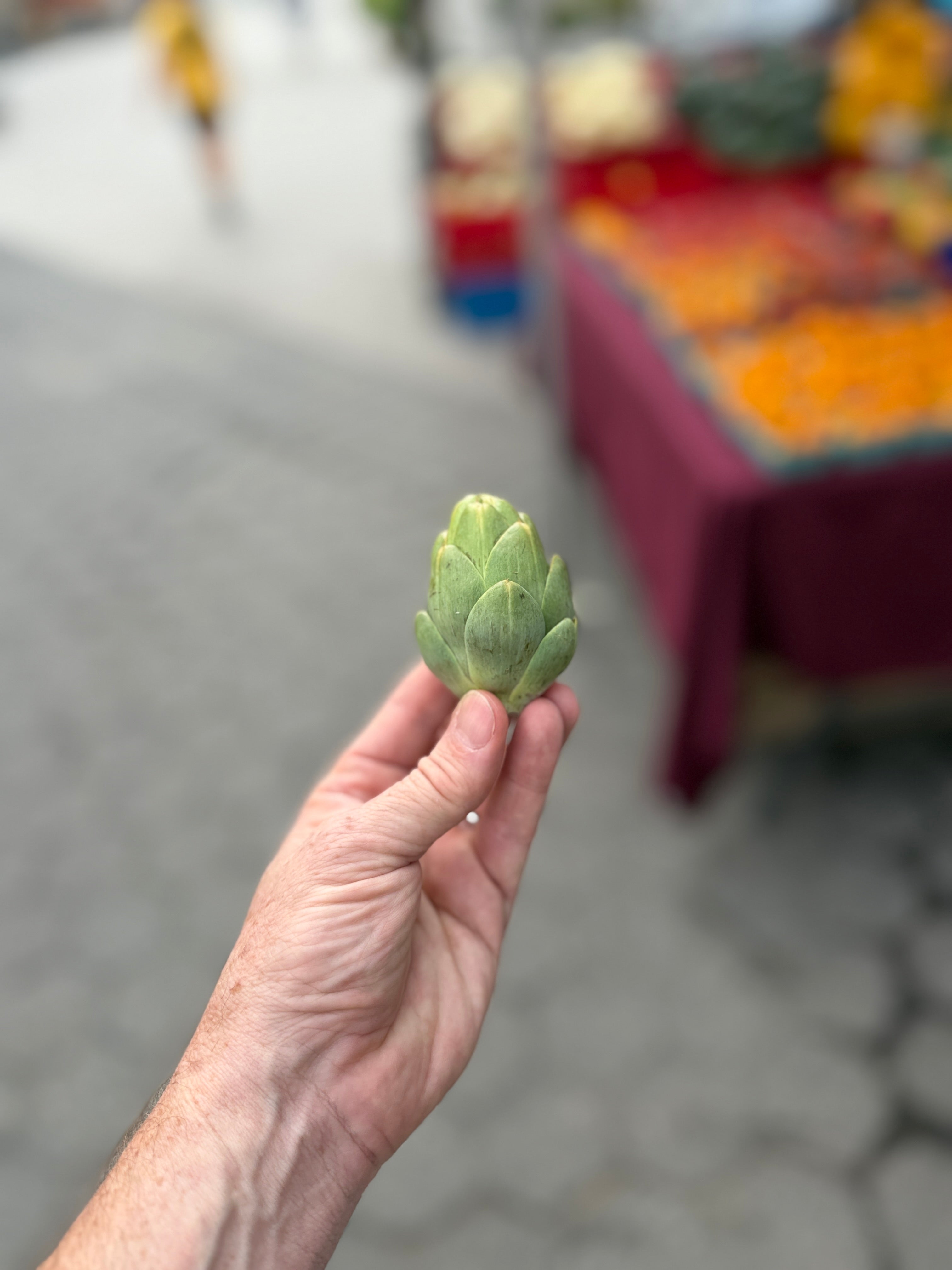 Organic Artichokes