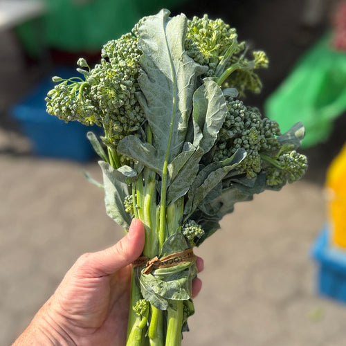 Broccolini - available in our Italian Harvest Box - grown up at Norwich Meadows Farm.