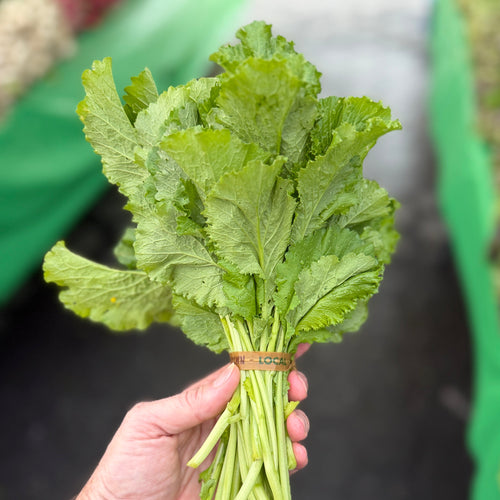 Mustard Greens - a fantastic green grown by Norwich Meadows Farm.