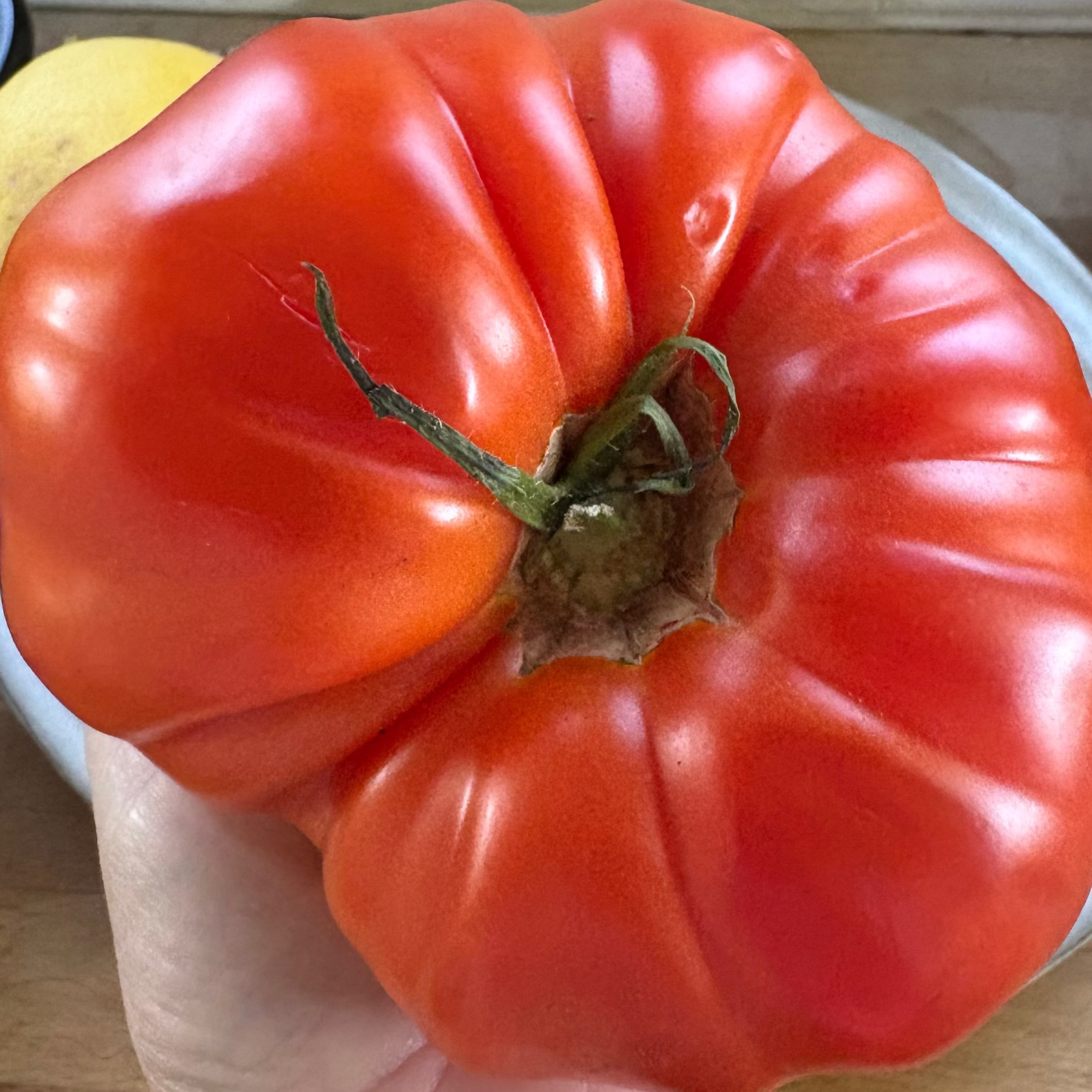 An. Heirloom Tomato looking beautiful