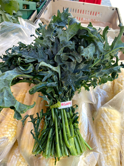 Spigarello from Norwich Meadows Farm