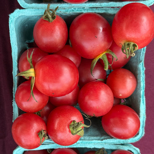 Sunpeach Cherry Toatoes from Norwich Meadows Farm.