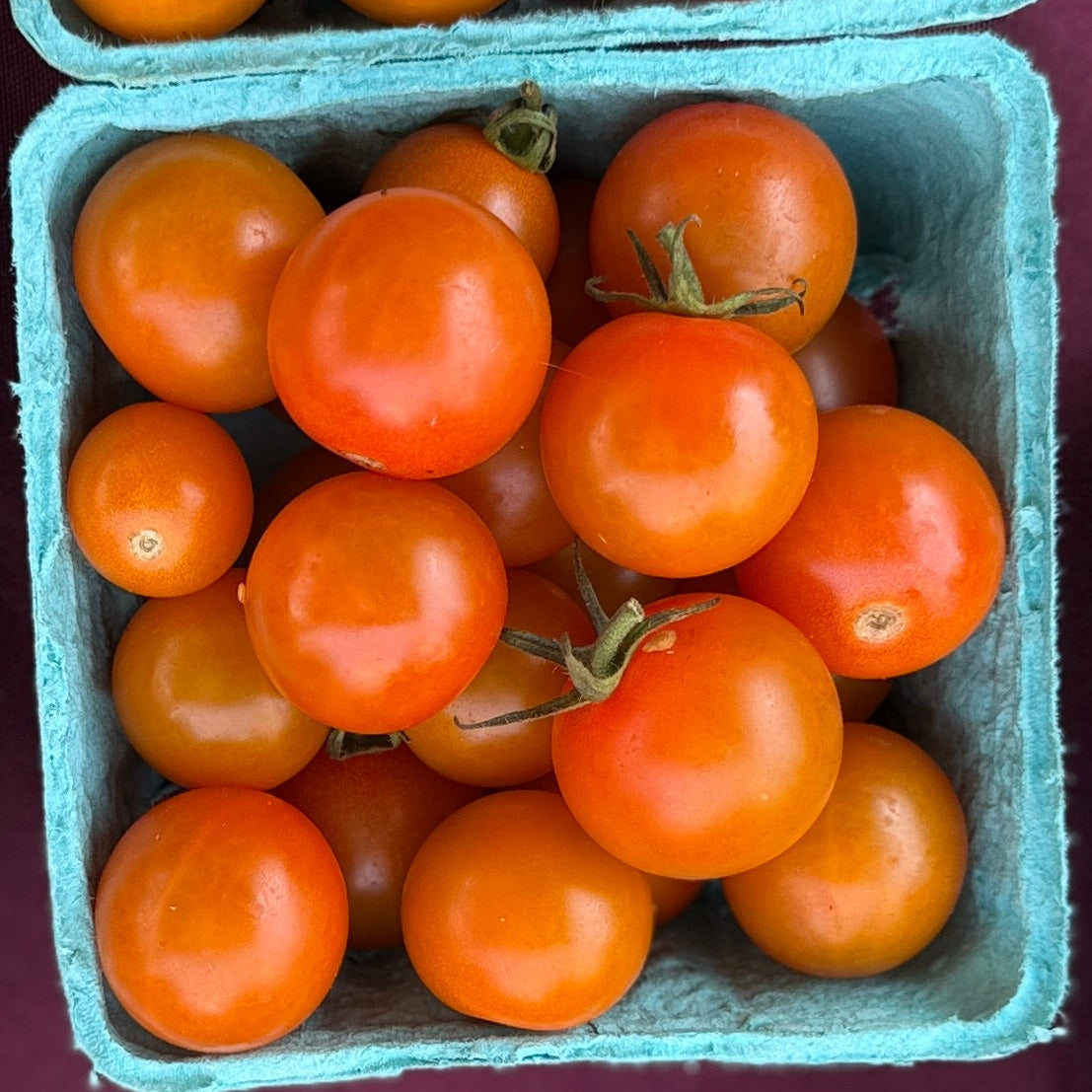 Sungold cherry tomatoes from Norwich Meadows Farm.