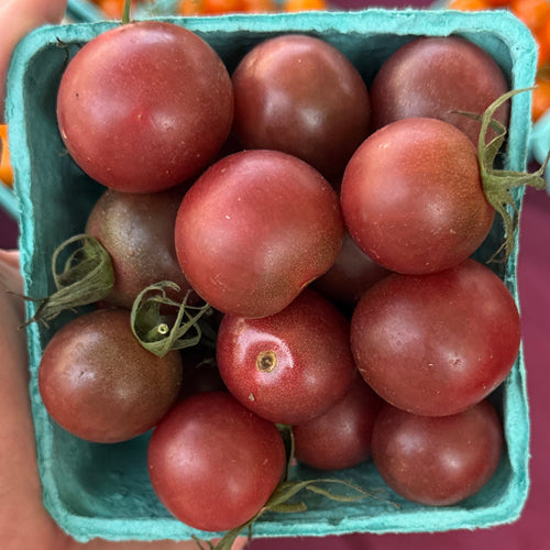 Black cherry tomatoes at Union Square, Gwon by Norwich Meadows Farm.