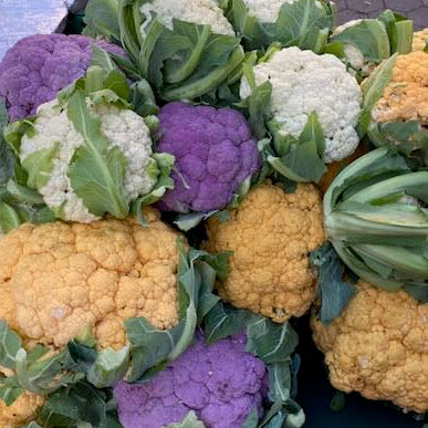 Different color Cauliflower grow on Noriwch meadows farm.