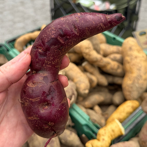 Organic Purple Sweet Potato from Norwich Meadows Farm.