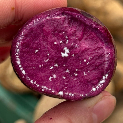 Flesh of an organic purple sweet potato grown by Norwich Meadows Farm.