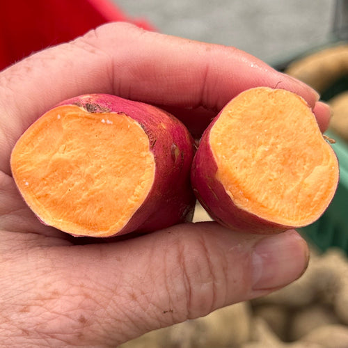 Inside flesh of an orange sweet potato