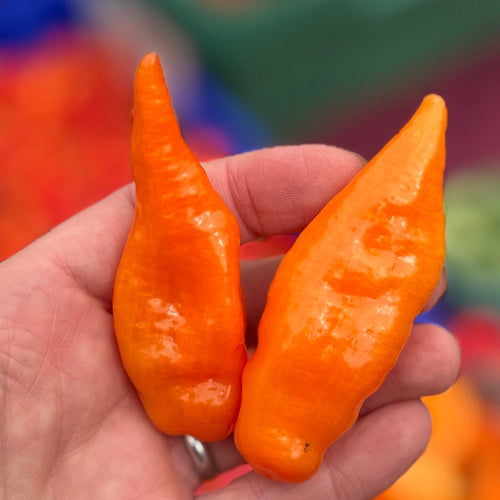 Habanada Peppers - sold at our stand in Union Square and Nationwide.