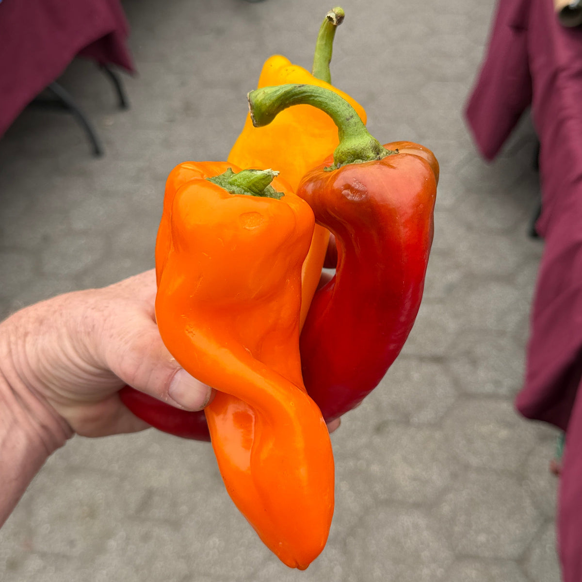 Fresh Corno di Toro Italian Frying Peppers