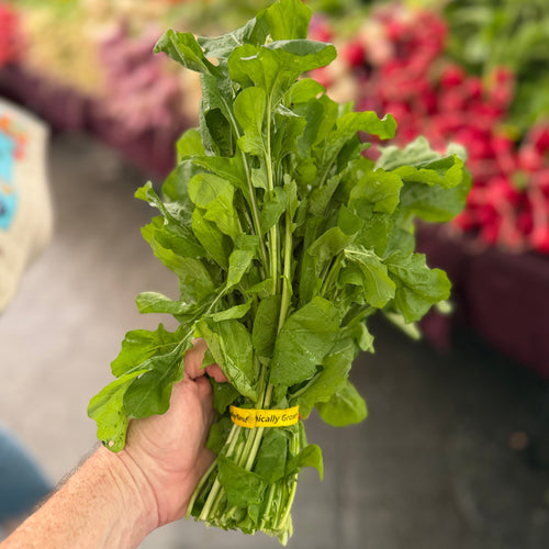 Organic Arugula grown by Norwich Meadows Farm.