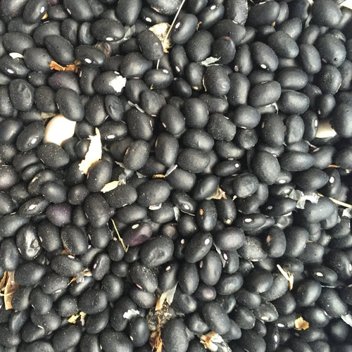 Black turtle beans from Norwich Meadows Farm.
