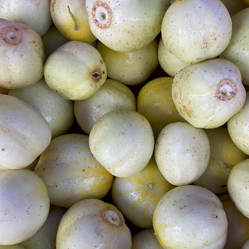 Lemon Cucumbers grown on Norwich Meadows Farm in Chenengo County.