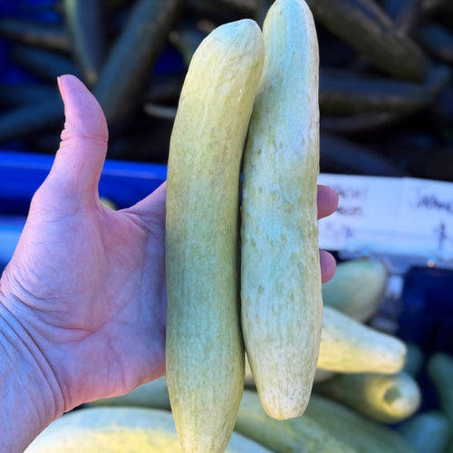 Itachi cucumbers grown on Norwich Meadows Farm.