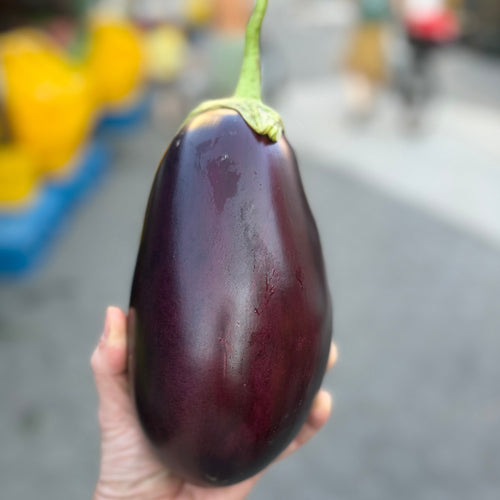 Italian Eggplant from Norwich Meadows Famr