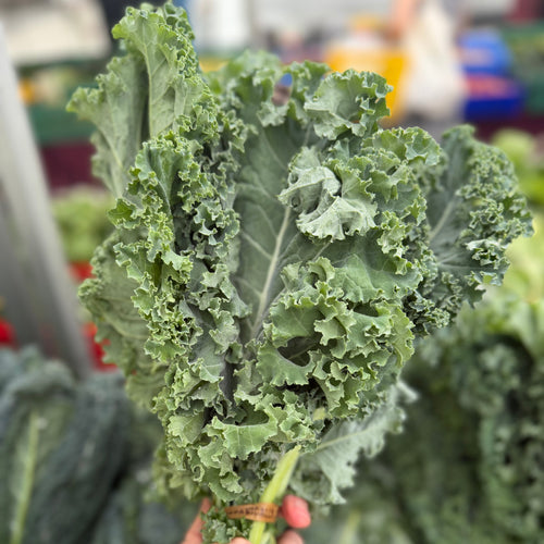 Kale at Union Square grown by Norwich Meadows Farm