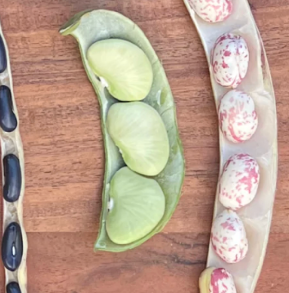 Lima Beans- 3 or 5lb Box