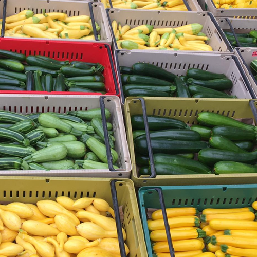 Mixed squash in crates ready for sale at the Union Square Farmers Market