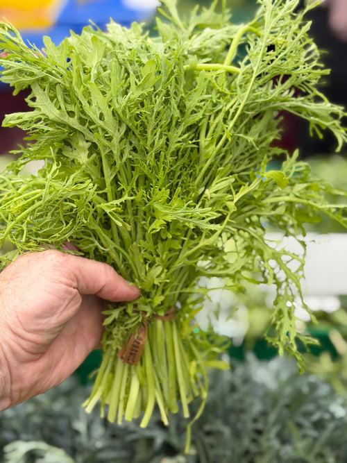 Green Frill Mustard - 1 bunch