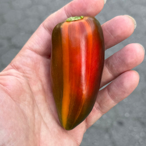 Picket a pepper by Michael Mazourek