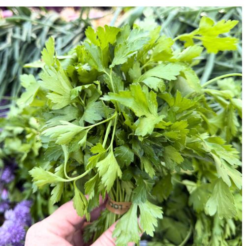 Parsley - 1 bunch