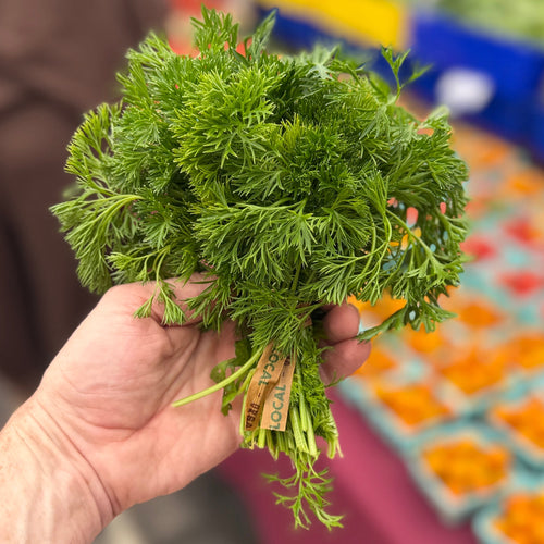 Frill parsley grown on norwich meadows farm.